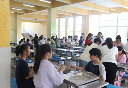 指尖传温情 劳动润童心——白鹿小学2026年劳动技能竞赛圆满落幕